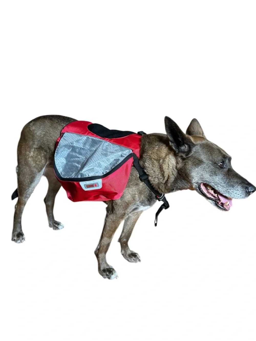 Kong Red and Grey Saddlebag Backpack Harness, size L/XL